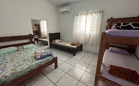 Casinha Flor de Lis